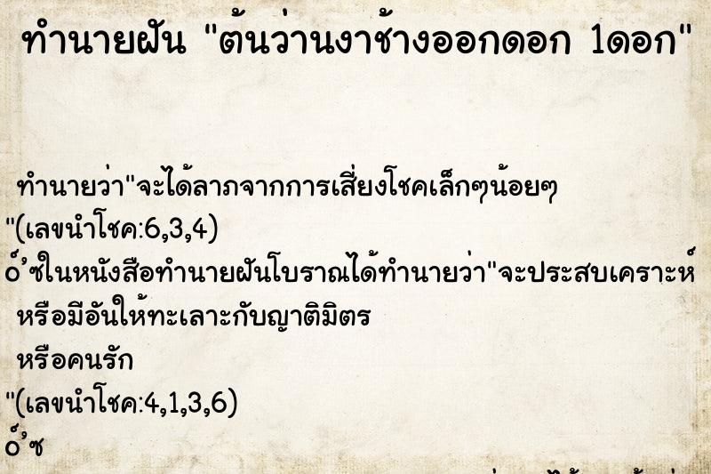 ทำนายฝันต้นว่านงาช้างออกดอก1ดอก ทำนายฝันทำนายฝันต้นว่านงาช้างออกดอก1ดอก